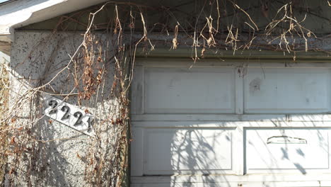 garage wall with overgrowth in spring