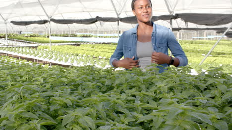 woman inspecting hydroponic plants in greenhouse, smiling and adjusting jacket