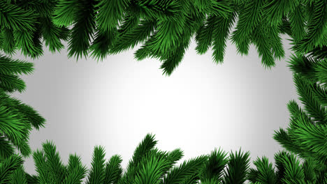 Green-christmas-tree-branches-with-copy-space-on-grey-background