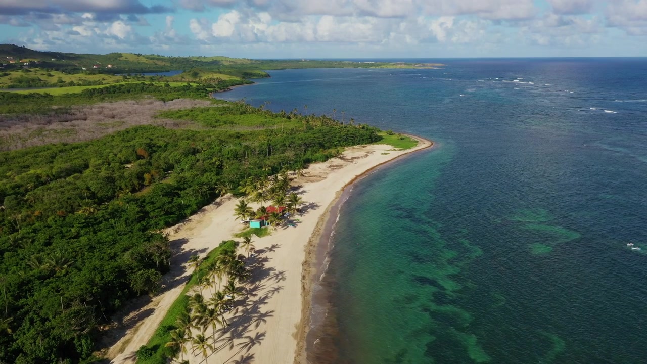 Vista aerea di una spiaggia appartata orlata di palme vicino a Vieux Fort, Santa Lucia, con acque turchesi della barriera corallina, piccole capanne e una giungla lussureggiante che si estende lungo la costa incontaminata