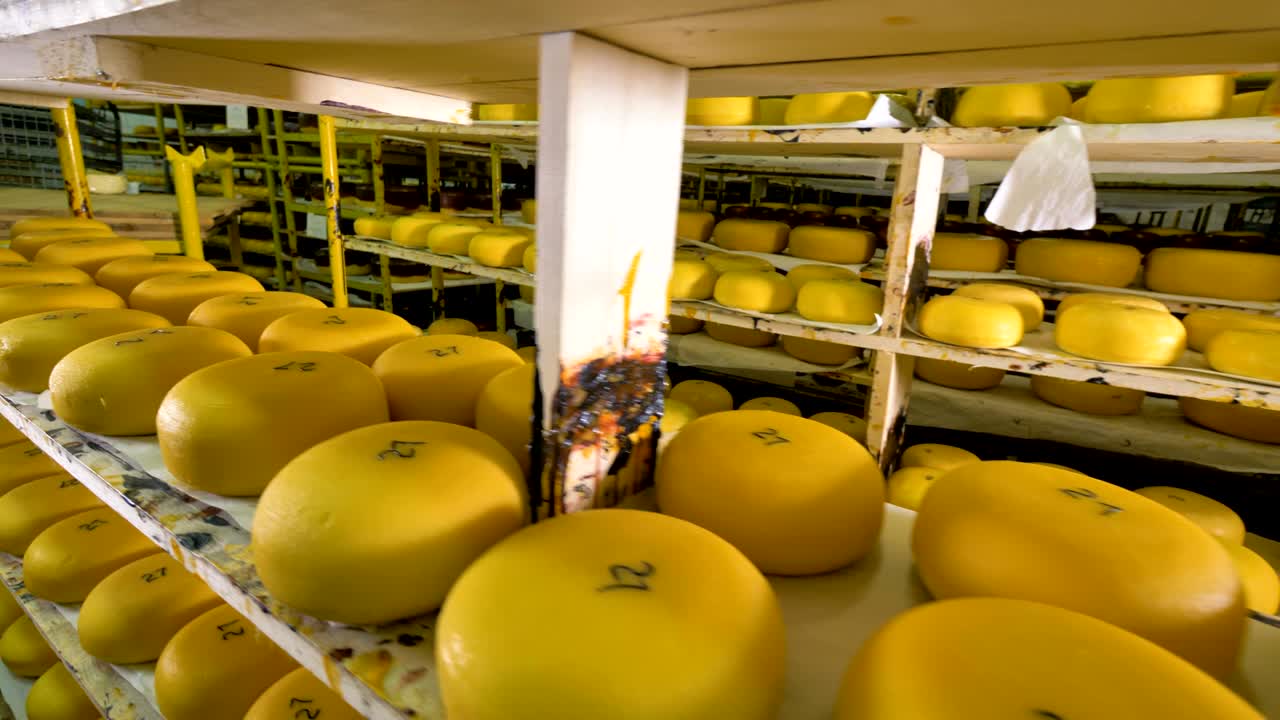 Talrige stykker ost opbevares på en ostefabrik