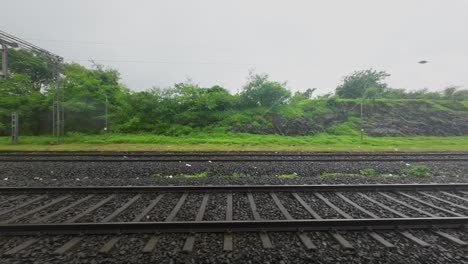 greenery forest view from train window in konkan railway