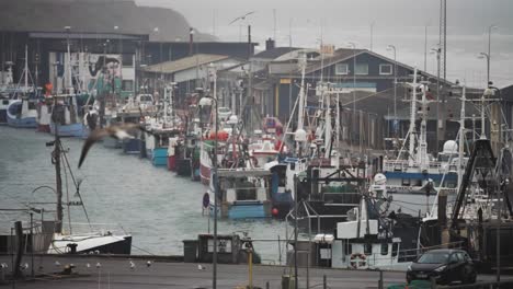 Hitshals-Hafen-Am-Frühen-Morgen