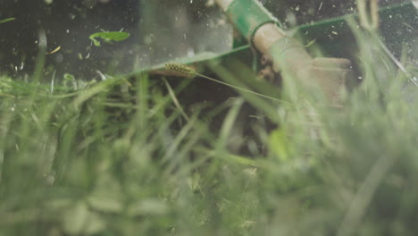 close-up of a lawn mower cutting grass