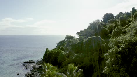 Luftdrohnen-Ferieninsel-Fidschi