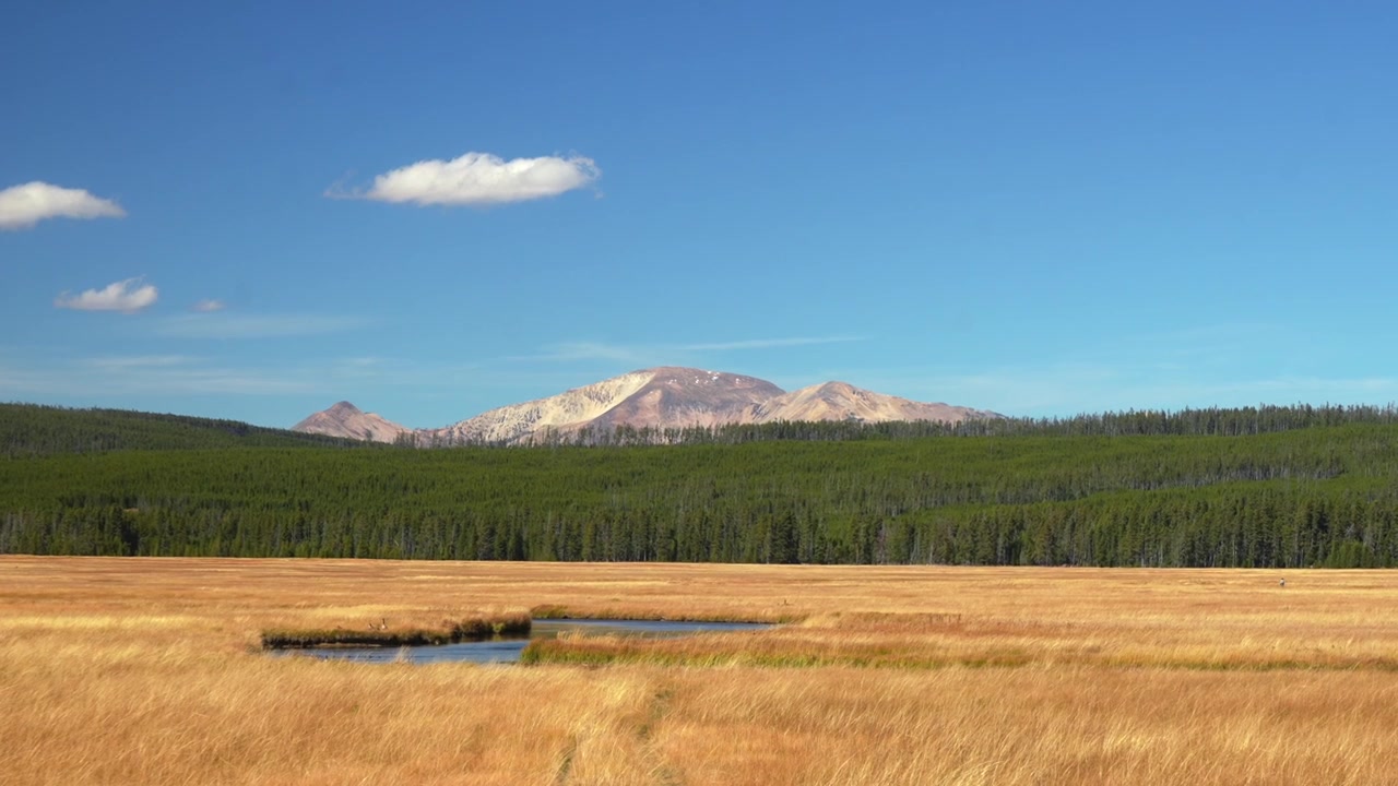 Yellowstone nationalpark med öppna dalar, bergsslätter och naturskönt landskap för bilresa. Madison, Norris Junction, Wyoming, Bighorn Pass, Bunsen Peak, Grizzly Lake, Beaver Lake. Höst med solig blå himmel.
