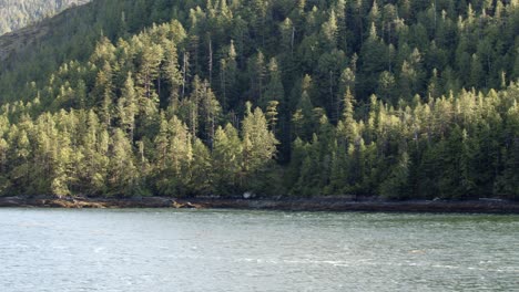 Canada-inside-passage,-Vancouver-island