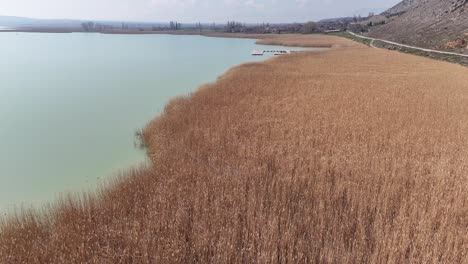 Flug-An-Einem-Sonnigen-Tag-Am-See-Und-An-Grasfeldern-Vorbei-|-Flug-über-Ein-Heufeld-Neben-Dem-See-|-Schönes-Hohes-Frühlingsgras