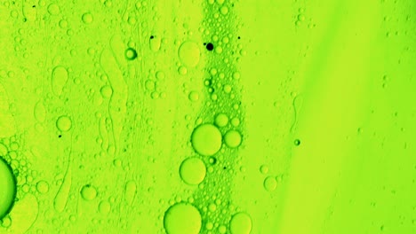 green oily gel that flows over a stain-like surface with bubbles of oil