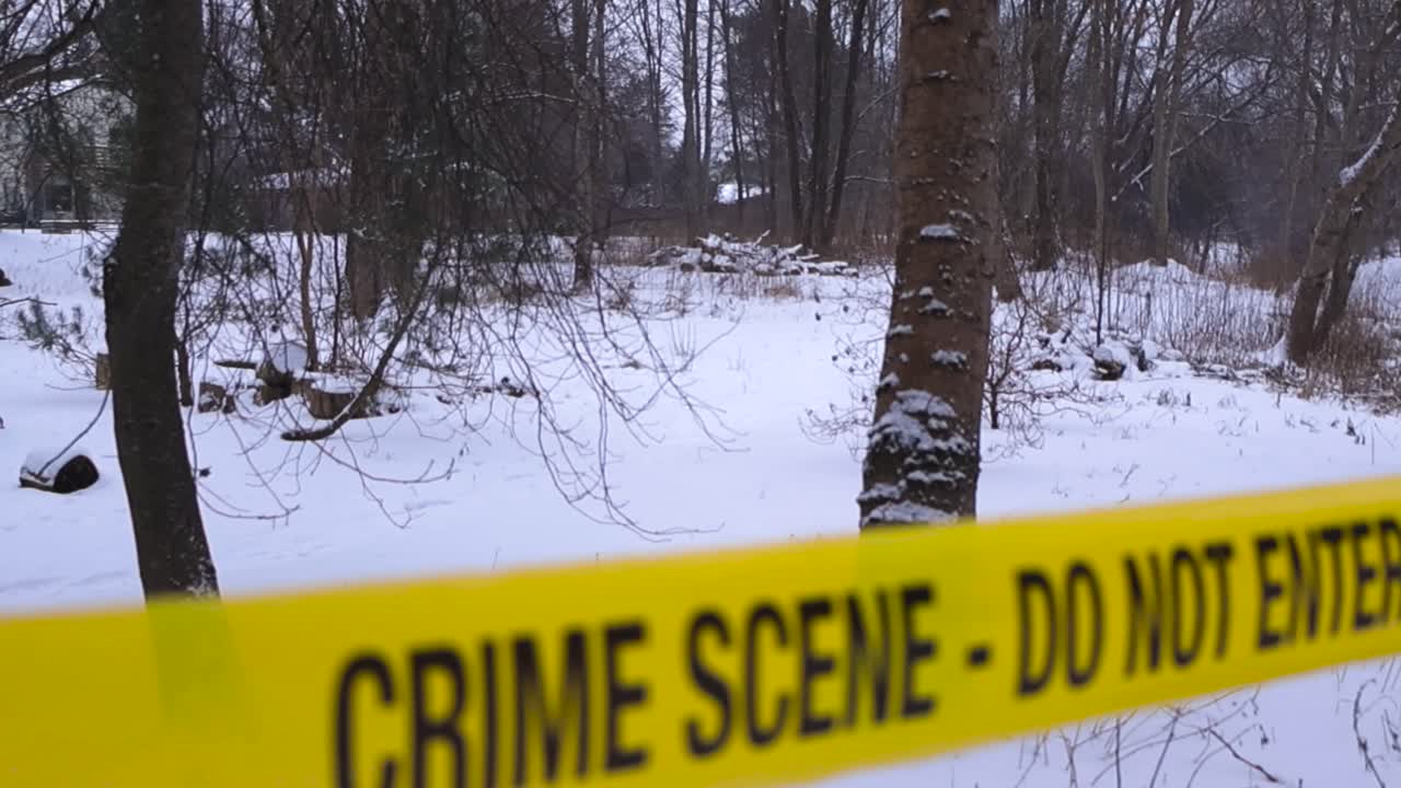 Slightly blurred yellow colroed crime scene police tape ribbon hanging in front of a winter cloudy forest while snow is falling in front and behind it. The tape is slightly blurry, forest in focus