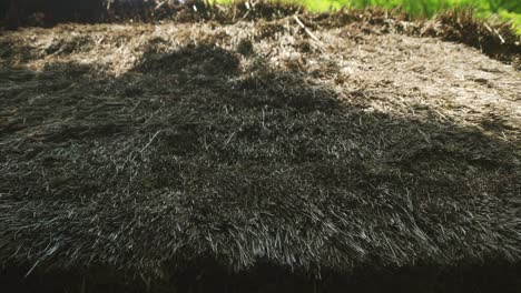 view of thatched roof texture. closeup of straw