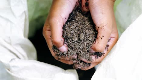 senior woman holding soil in her hands