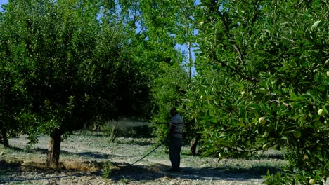 Hombre-Rocía-árboles