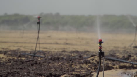 sprinkler system watering agriculture field for crops in huelva, spain