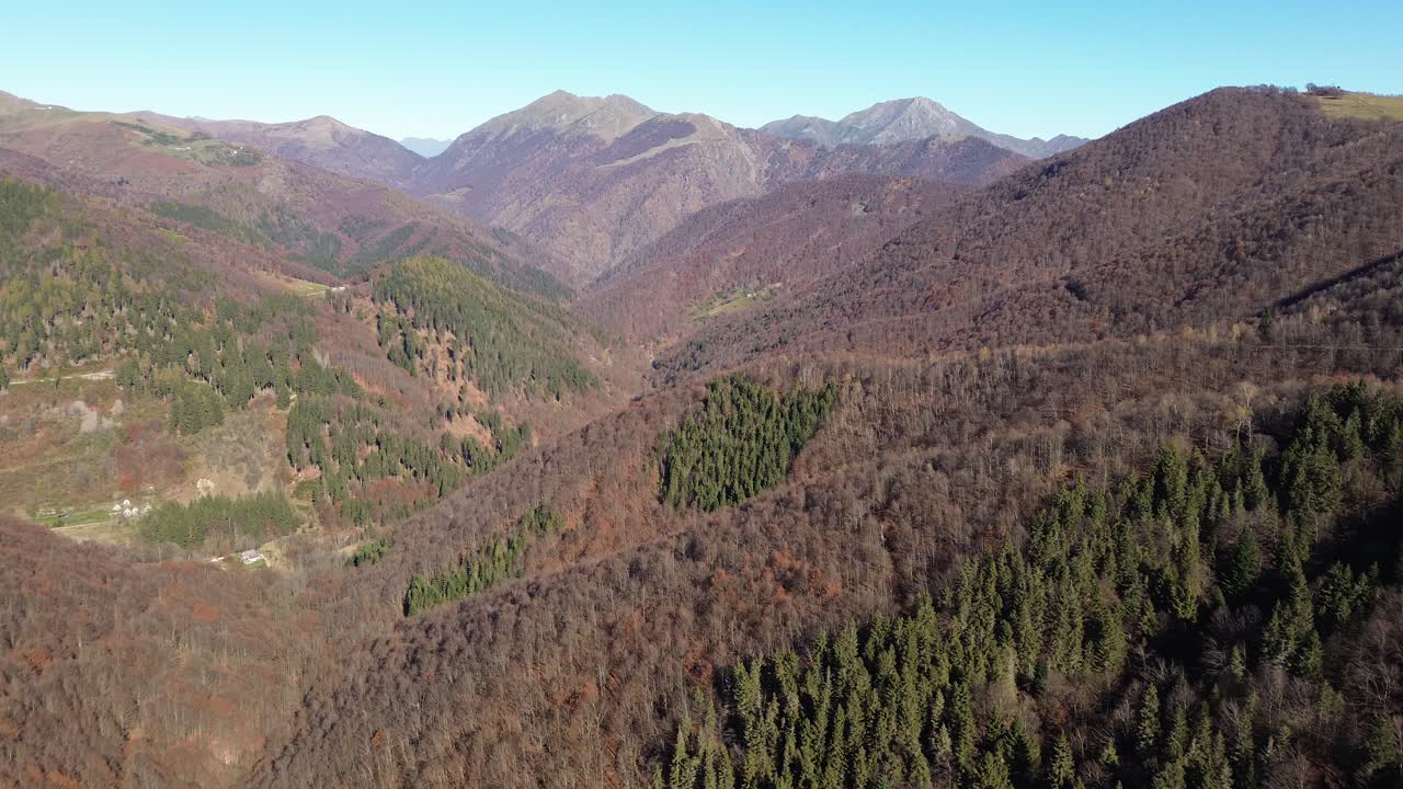 vista aérea de la cordillera y el bosque