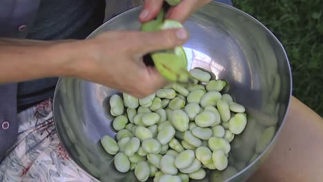 Pelar-Guisantes-En-Un-Cuenco-Del-Jardín-Metrajes-1