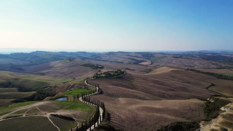 Dramatic-aerial-top-view-flight-Tuscany-Cypresses-avenue-rural-alley-Italy