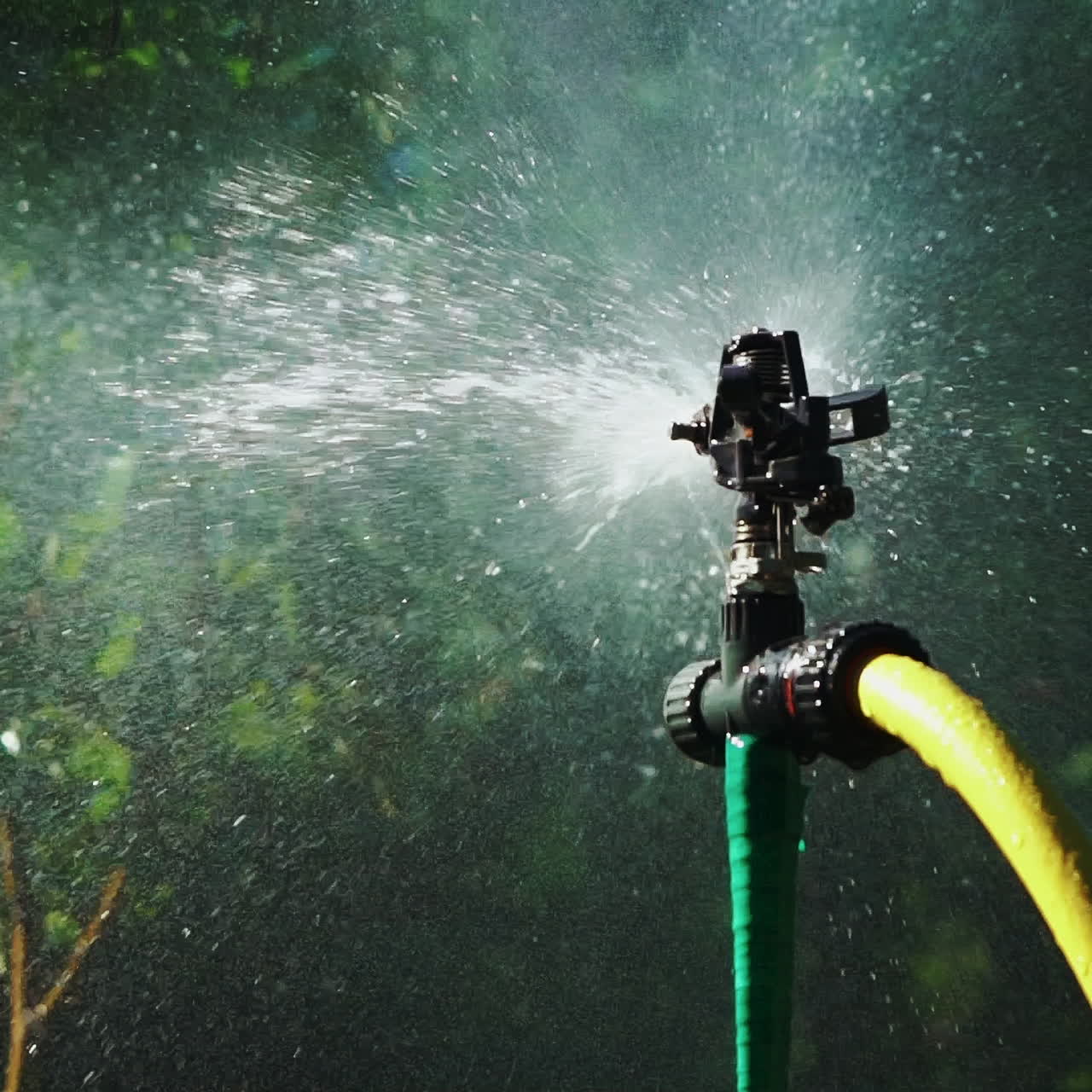 Watering the green grass. Sparkling water spraying out of sprinkler on the green lawn. Summer gardening. Slow motion