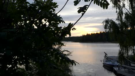 Green-leaves-in-Finland-archipelago,-Lake-and-Defocused-Woman-swimming