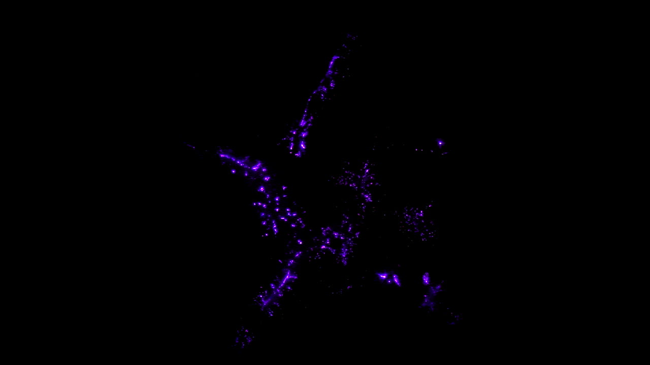 별 과일의 전자파 방전의 kirlian 사진