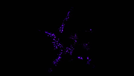 fotografía kirlian de descarga electromagnética de carambola