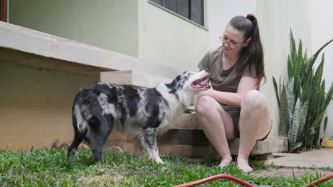 Frau-Bürstet-Ihren-Australischen-Schäferhund-Mit-Einem-Handschuh,-Um-überschüssige-Haare-Im-Garten-Ihres-Hauses-Zu-Entfernen