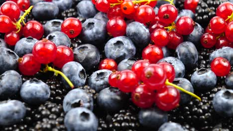 reife rohe beeren von rotschoten, schwarzbeeren und blaubeeren, hintergrund