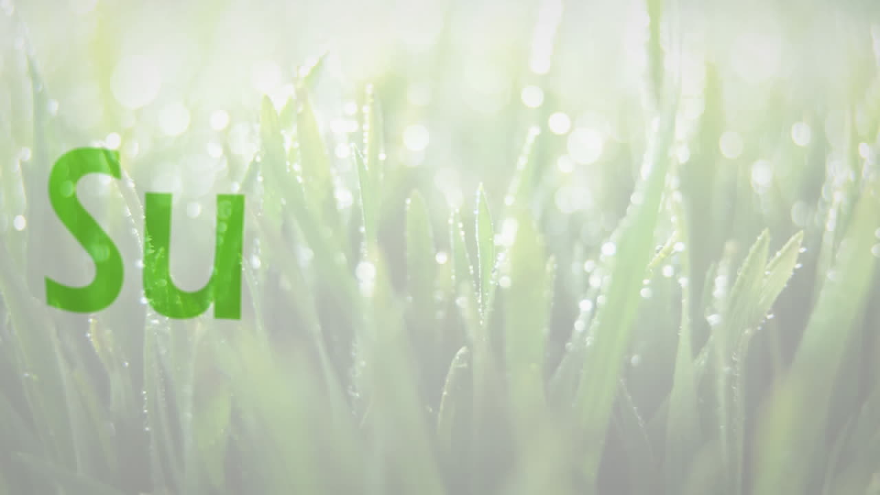 디지털 애니메이션은 물의 배경으로 재생 가능한 에너지 절약을 강조합니다.