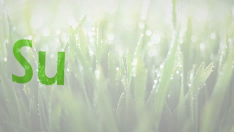 la animación digital destaca la conservación de la energía renovable con fondo de agua.