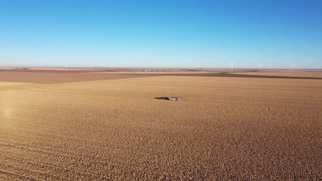 avión no tripulado sobrevolando tierras de cultivo rurales con aves acuáticas de caza en el medio del cuadro 4k 23