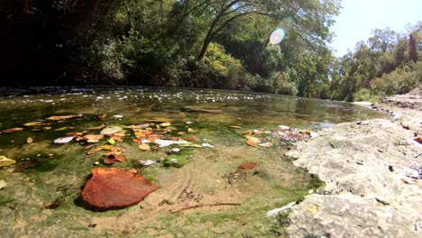 Panning-left-at-water-level-towards-a-creek-that-is-heavily-wooded-on-the-other-side-of-water