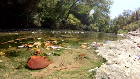 panning left at water level towards a creek that is heavily wooded on the other side of water