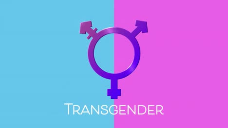 animation of text transgender, with purple transgender symbol on pink and blue