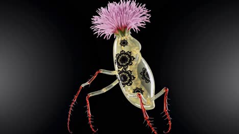 glass insect sculpture with floral crown