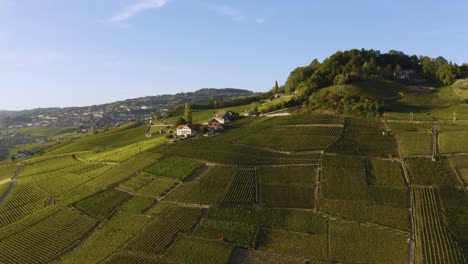 Luftaufnahme-Vorbei-An-Typischen-Weinberghäusern,-Lavaux-Weinberg-Während-Der-Erntezeit-Le-Daley,-Lavaux-–-Schweiz