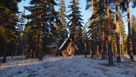 warm sunlight illuminates a charming wooden cabin nestled amidst a tranquil snowy pine forest, creating a serene and inviting winter scene during sunrise