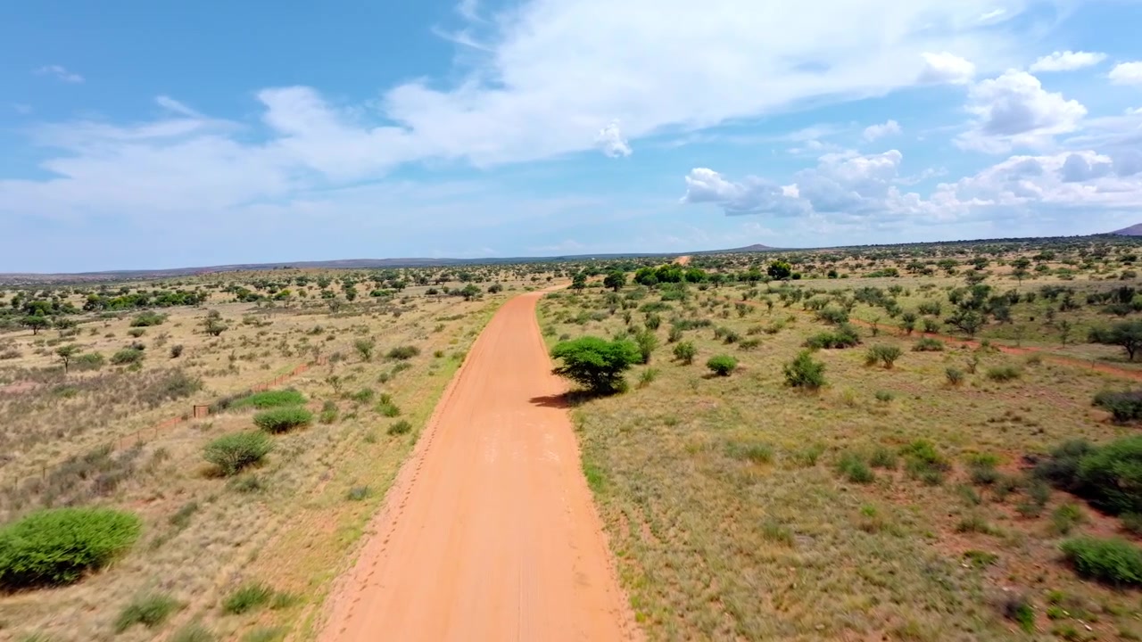 Vista aerea dall'alto di una lunga strada dritta di sabbia rossa che attraversa il bushveld del Kalahari. La pista solitaria si estende attraverso sabbia rossa infinita ed erba dorata punteggiata da robusti alberi di acacia.