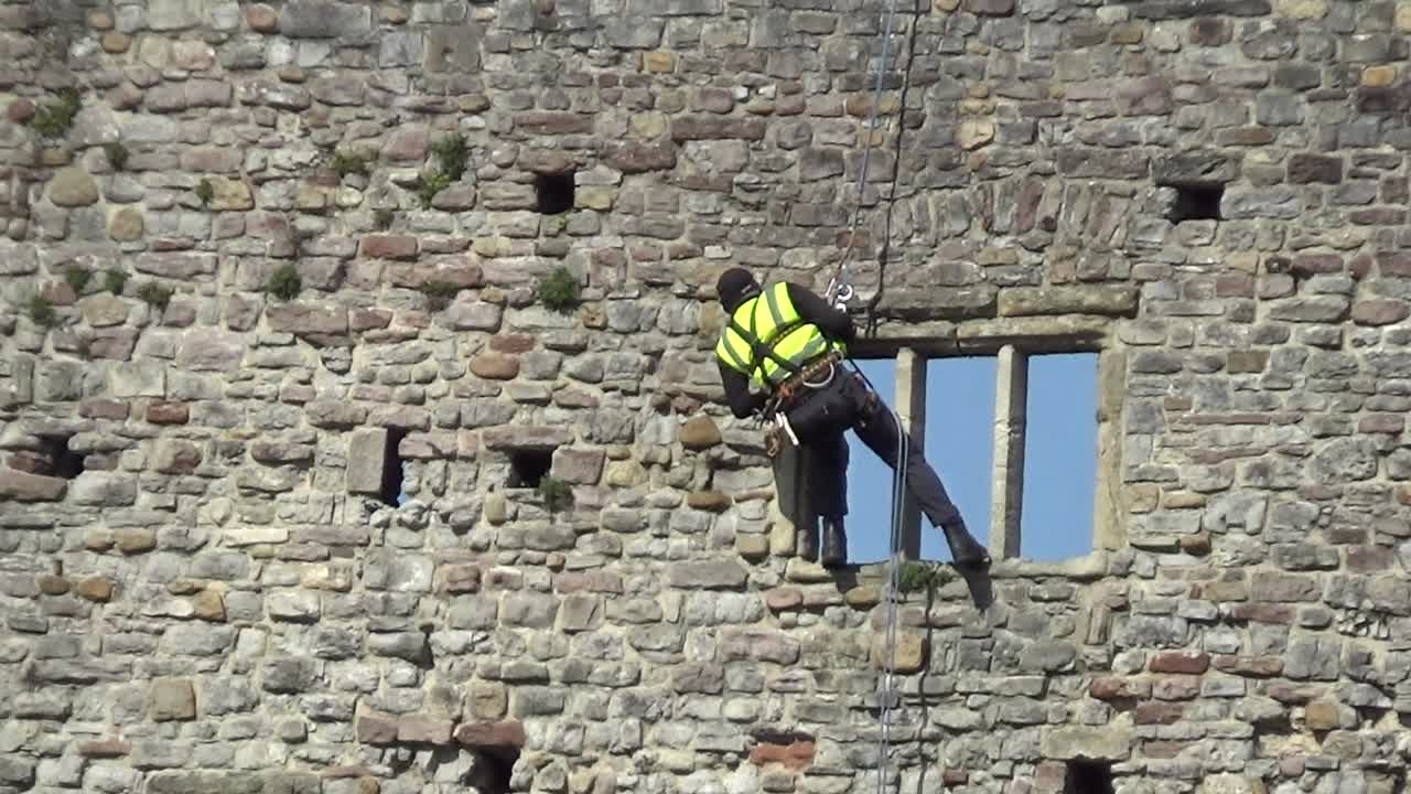 카디프 성의 바람에 흔들리는 수선화