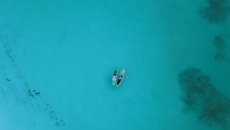 increíble rotación 360 vista de pájaro vista superior toma de drone de surfista de pie
