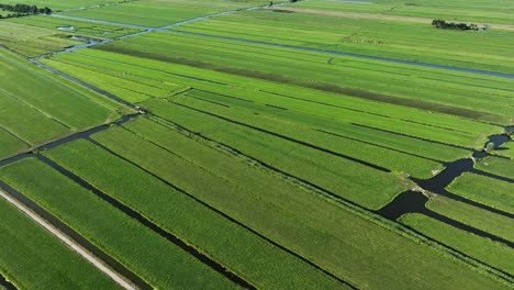 Lush-Dutch-polders-divided-by-numerous-water-canals