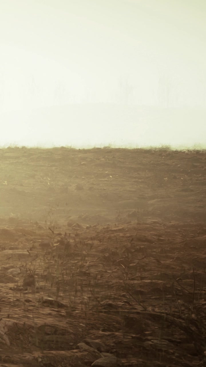 Landscape with dry grass and distant hills in the setting sun