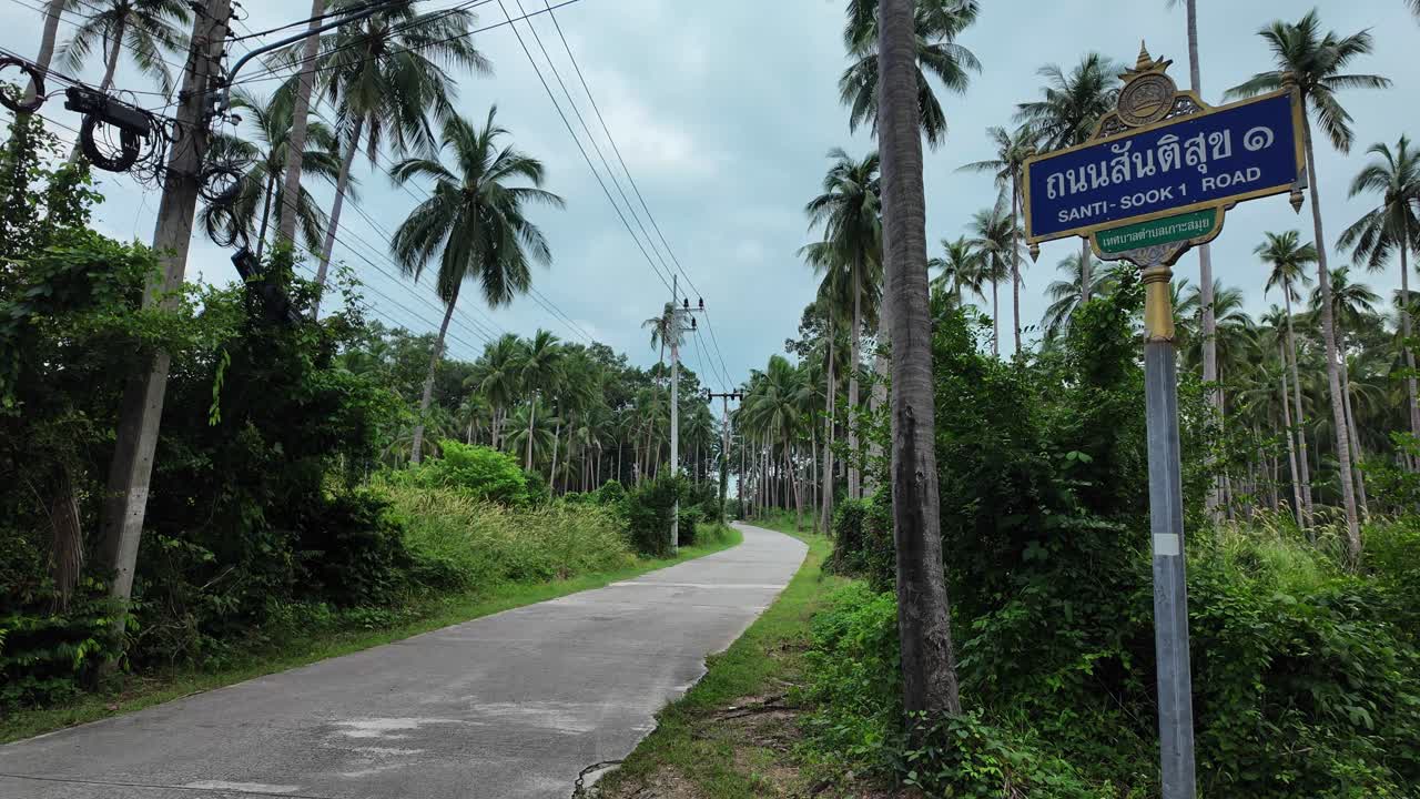 Tropical palm tree scooter drive POV Thailand Koh Samui roadtrip view exotic nature