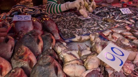 sorting and arranging fish at a busy market