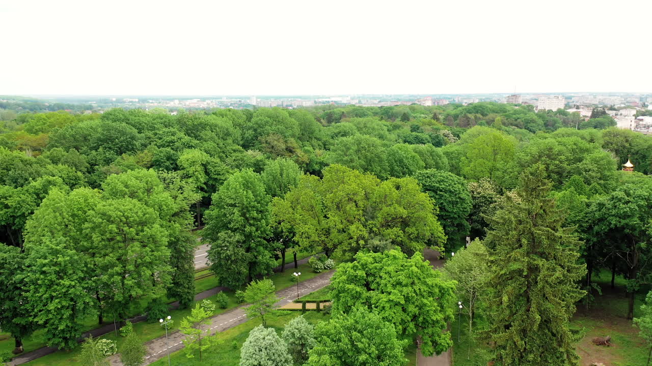 Flying over the top of trees in the park. Panoramic view of beautiful green trees with neat roads in summer at daytime.