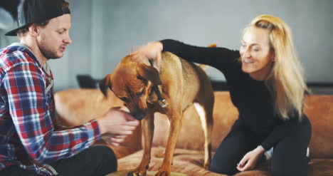 Mann-Hat-Spaß-Mit-Hund-Zu-Hause-Lifestyle-Hintergrund-1