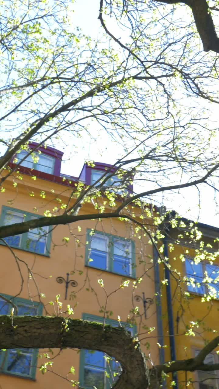 Building Facade with Trees