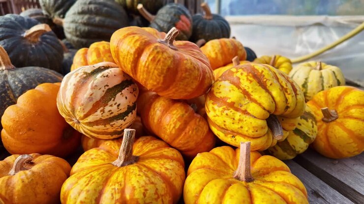 Tanti diversi tipi di zucche Shiatsu e zucche ornamentali esposte in un mercato all'aperto.