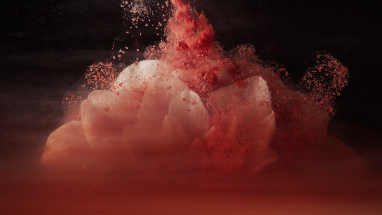 White flower macro blood red ink falls in slow motion still life abstract