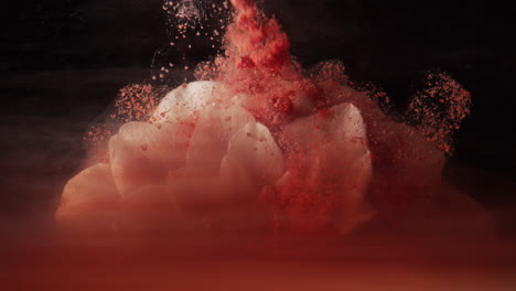 white flower macro blood red ink falls in slow motion still life abstract