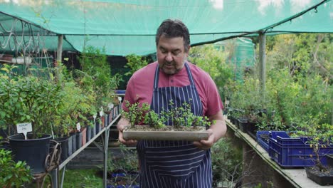 Caucasian-male-gardener-walking,-holding-plants-at-garden-center